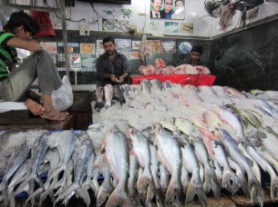 魚の並べ方が、インドらしいですね。中には、氷も敷いてないお店もありました