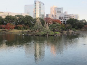 日本の庭園文化は、世界に誇れますね