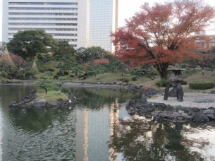 都会の喧騒を忘れさせてくれる、素晴らしい空間です