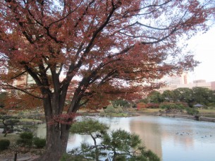 素晴らしい「紅葉」も見頃でした