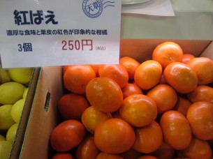 新種の「紅ばえ」は、香りも良く品の良い甘さです