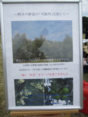 0稲取植樹祭13