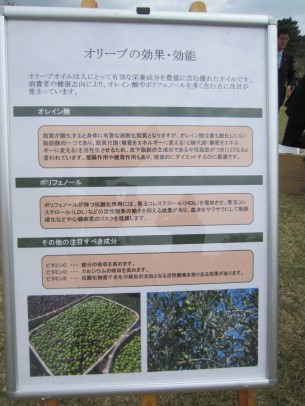 0稲取植樹祭14